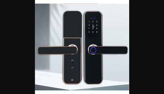 Cerradura inteligente WiFi NidoSmart